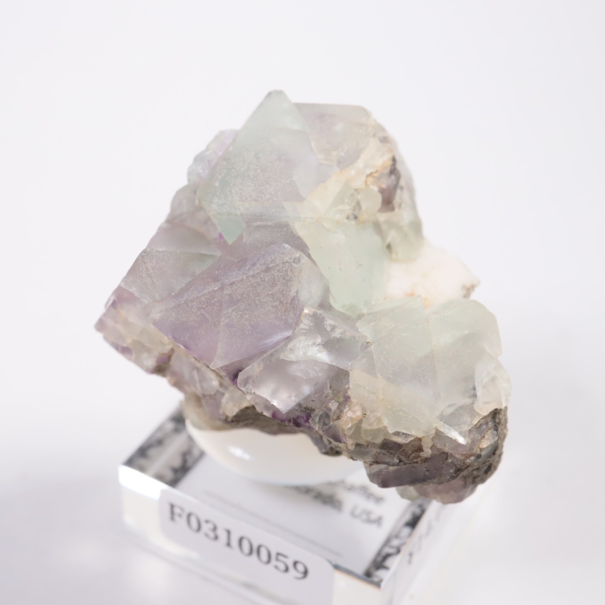 ������ɽ� �ե����饤��