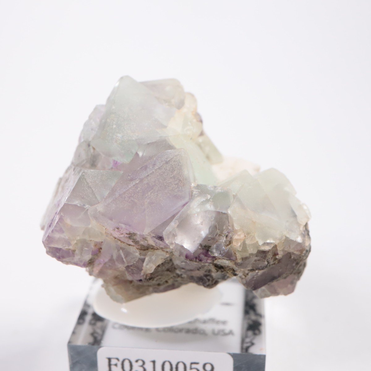 ������ɽ� �ե����饤��