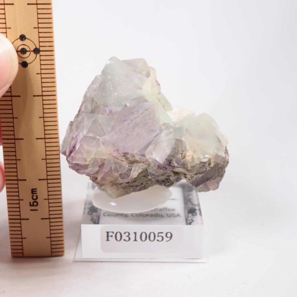 ������ɽ� �ե����饤��