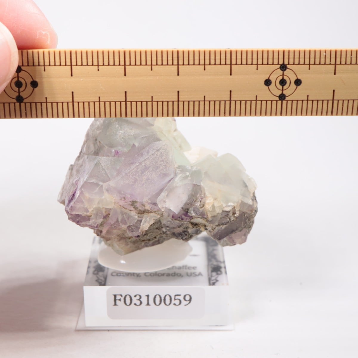 ������ɽ� �ե����饤��