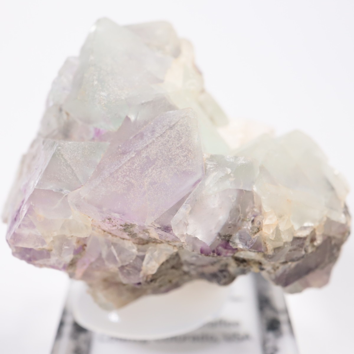 ������ɽ� �ե����饤��