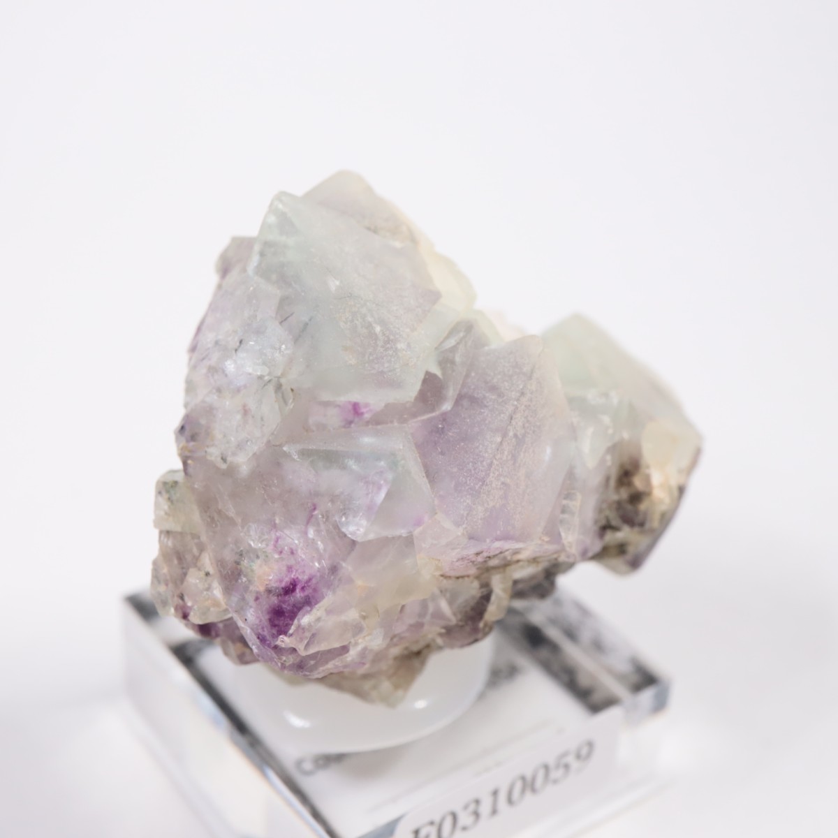 ������ɽ� �ե����饤��