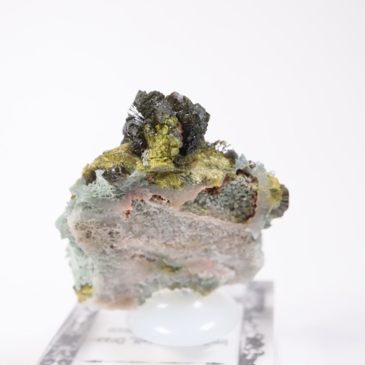 ����å��������ԥɡ���