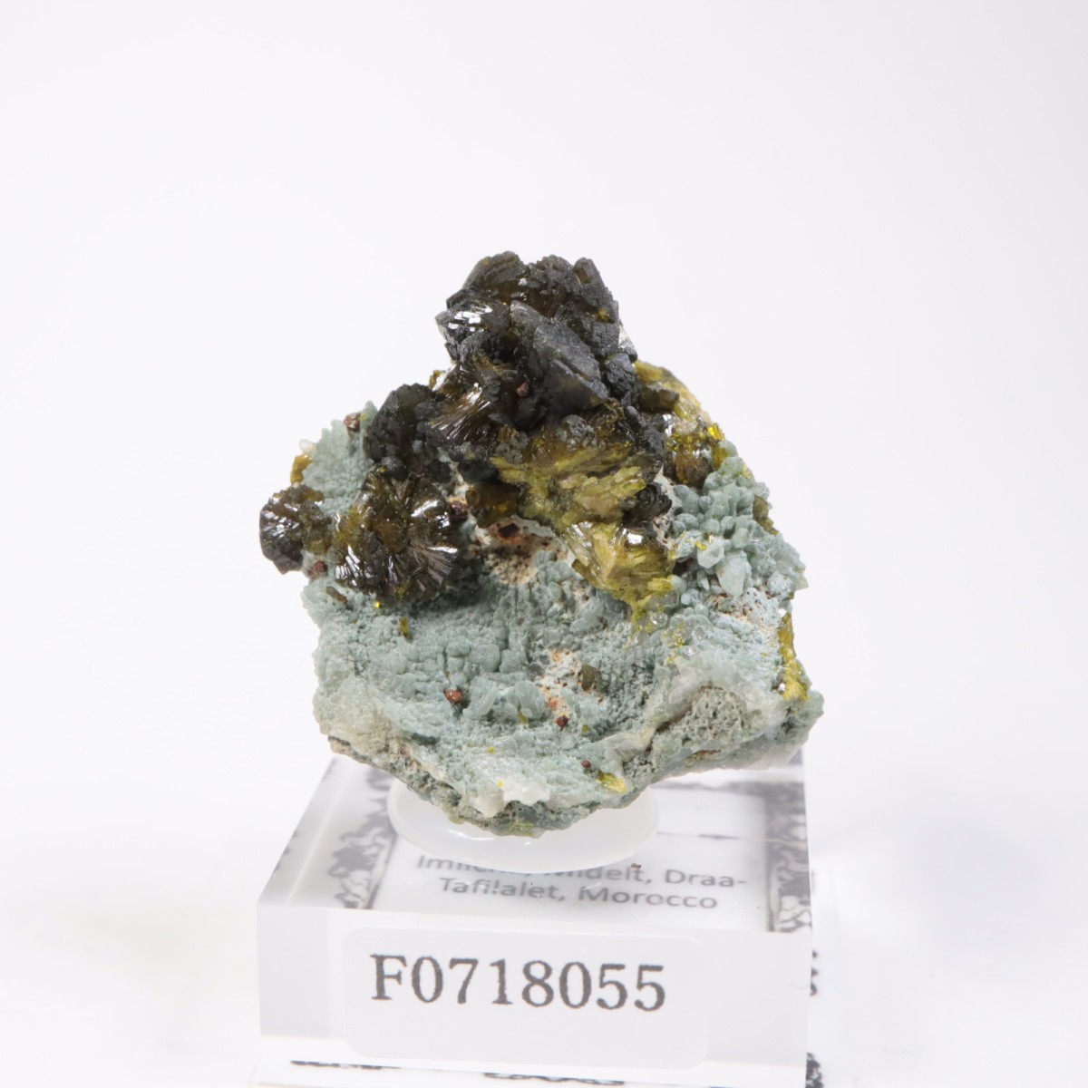 ����å��������ԥɡ���