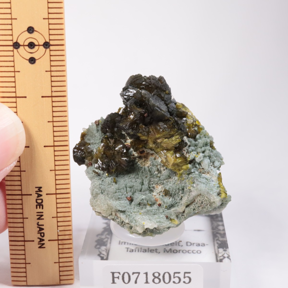 ����å��������ԥɡ���