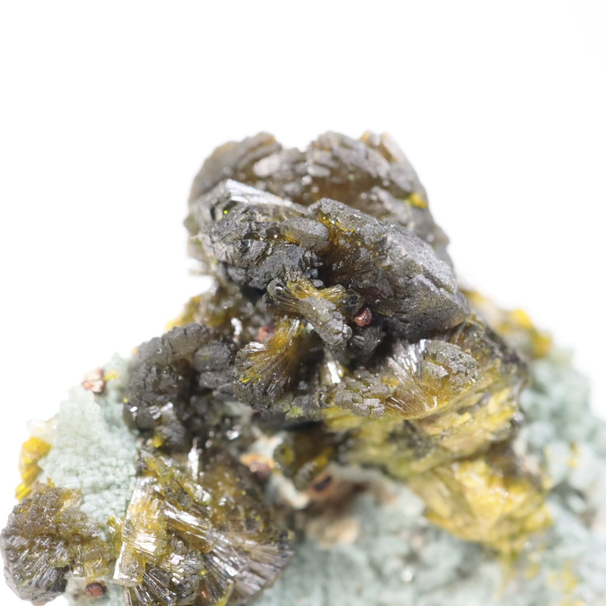 ����å��������ԥɡ���