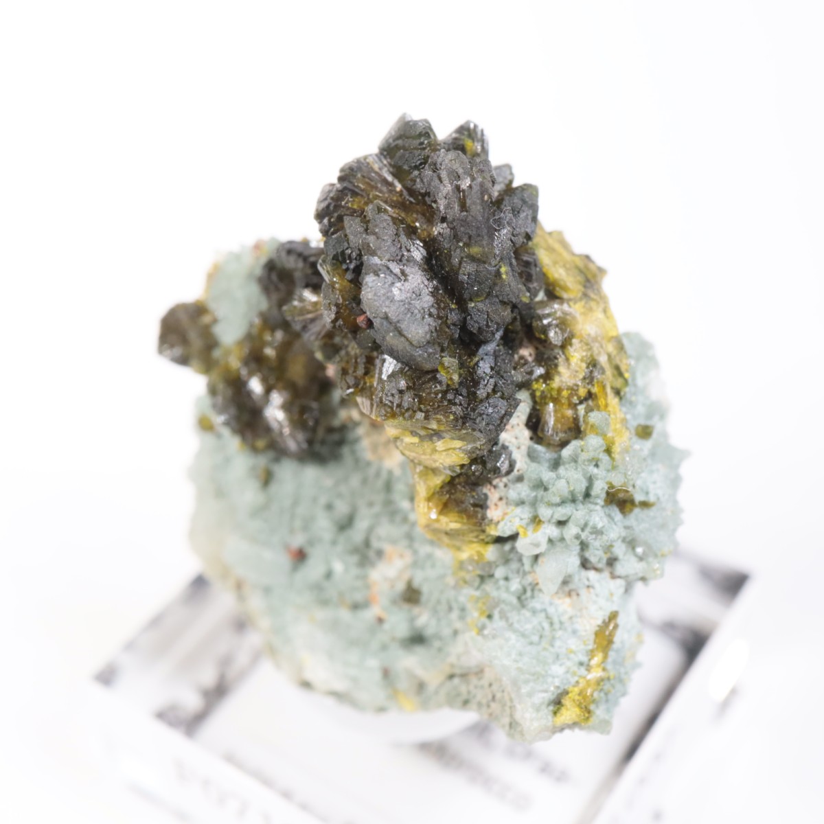 ����å��������ԥɡ���