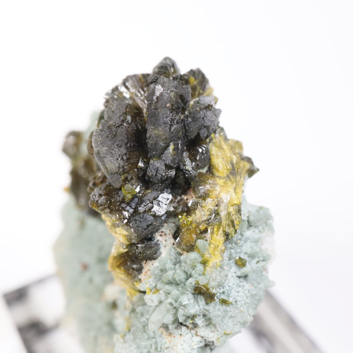 ����å��������ԥɡ���