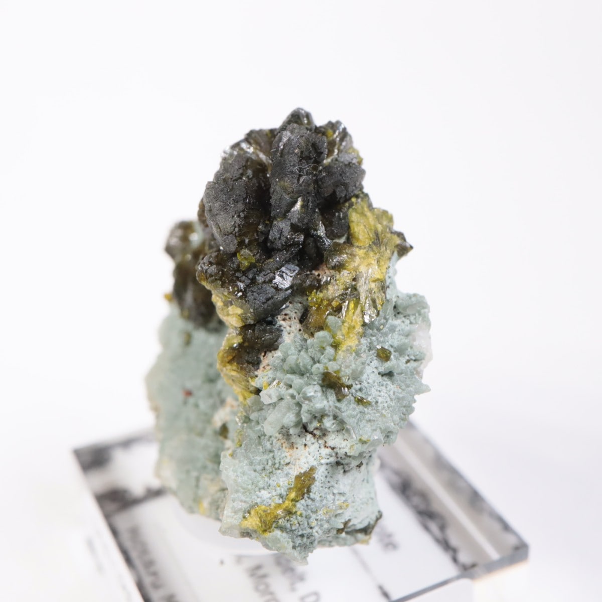 ����å��������ԥɡ���