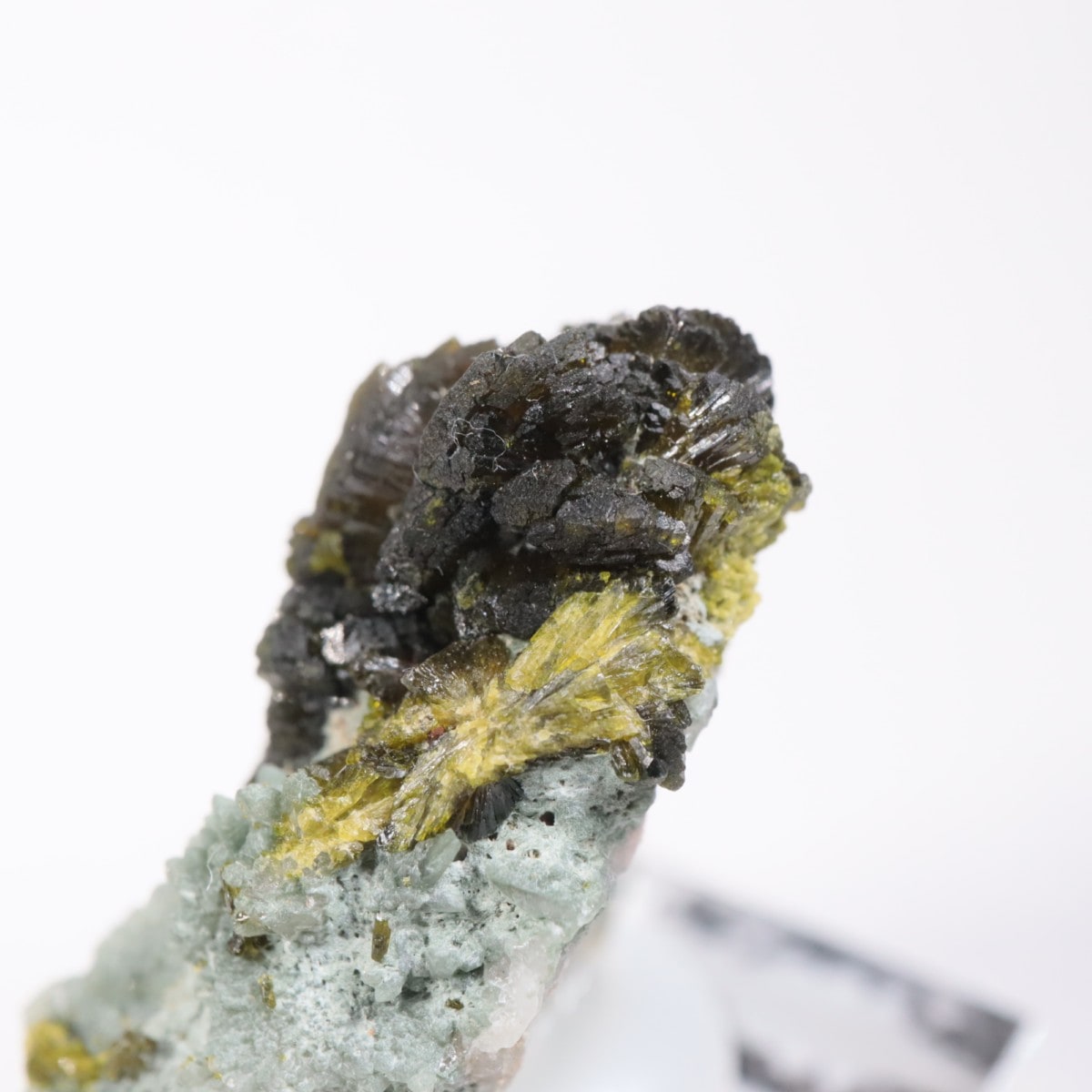 ����å��������ԥɡ���