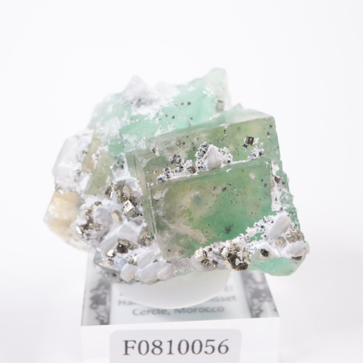 ����ϥޥ�ۻ��� �ե����饤��