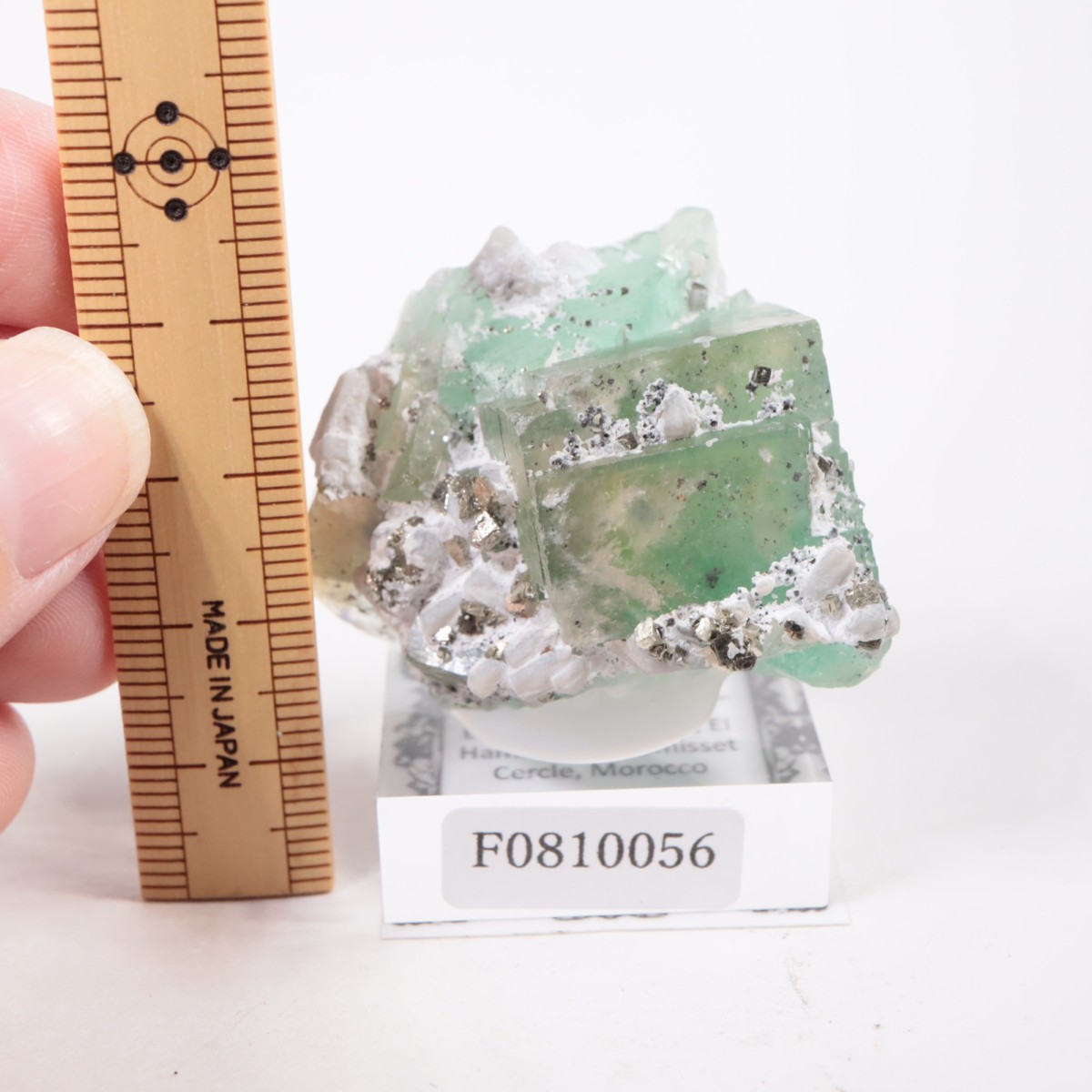 ����ϥޥ�ۻ��� �ե����饤��