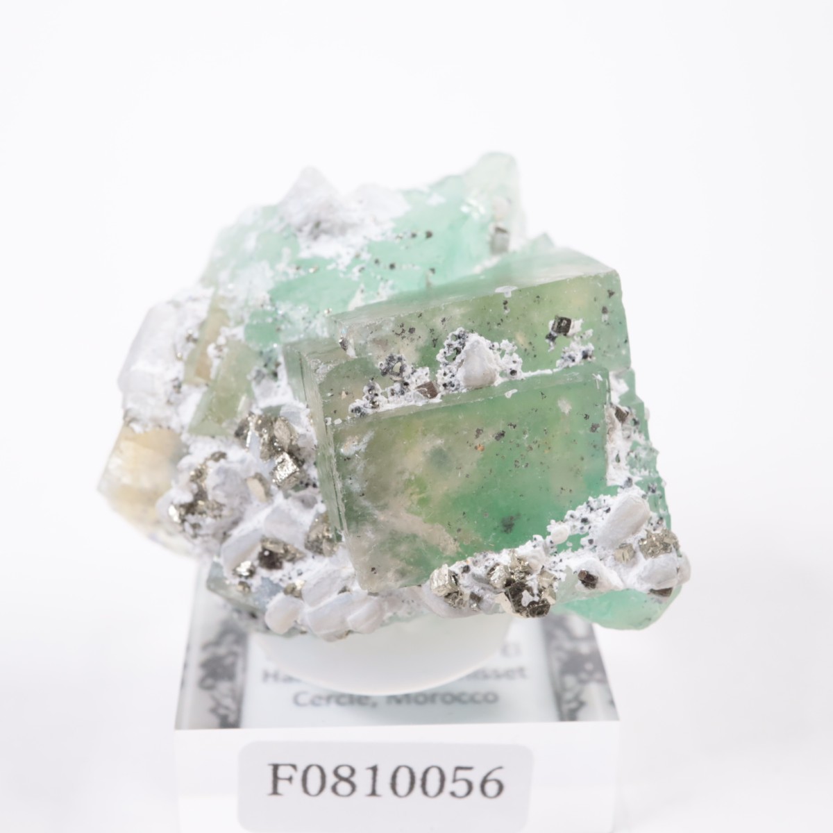 ����ϥޥ�ۻ��� �ե����饤��