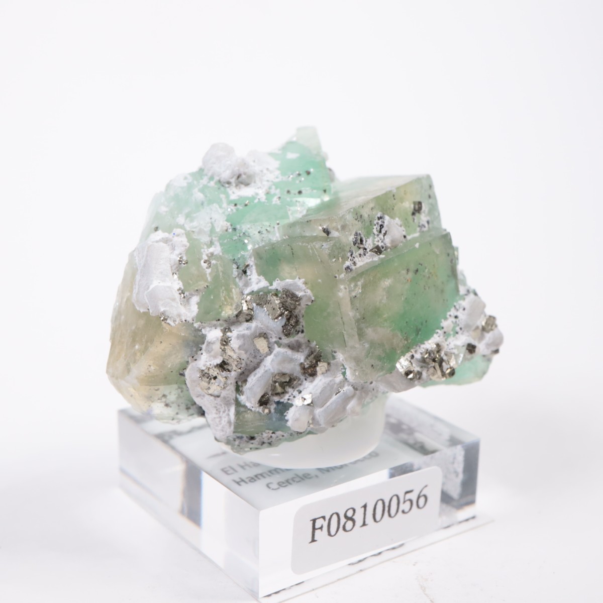 ����ϥޥ�ۻ��� �ե����饤��