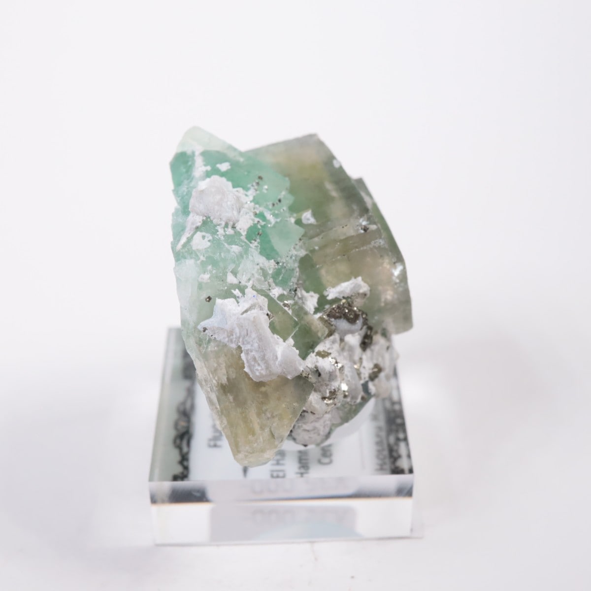 ����ϥޥ�ۻ��� �ե����饤��