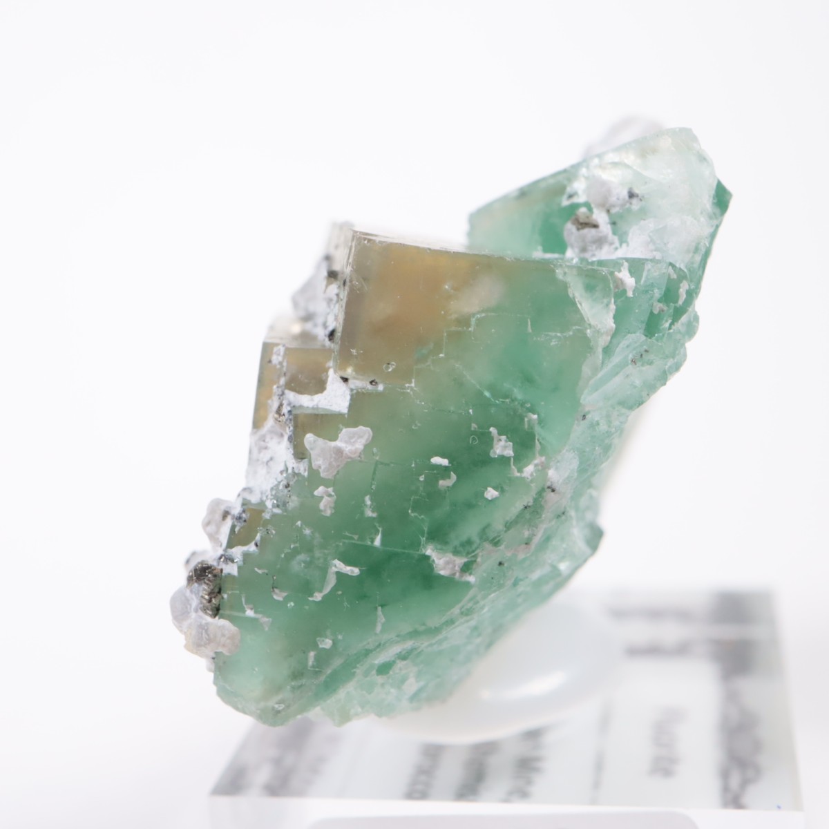 ����ϥޥ�ۻ��� �ե����饤��