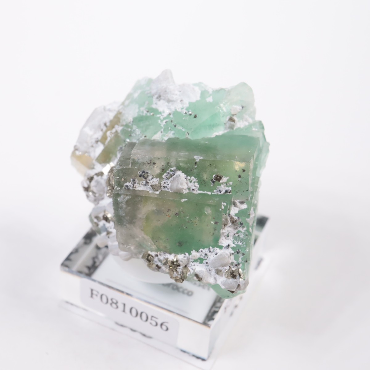 ����ϥޥ�ۻ��� �ե����饤��