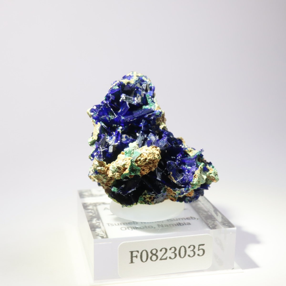 �ĥ�ֹۻ� �����饤�ȡ��ޥ饫����