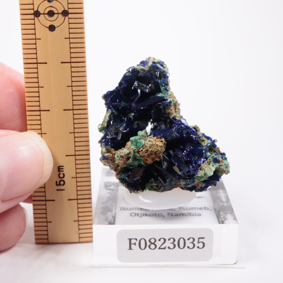 �ĥ�ֹۻ� �����饤�ȡ��ޥ饫����