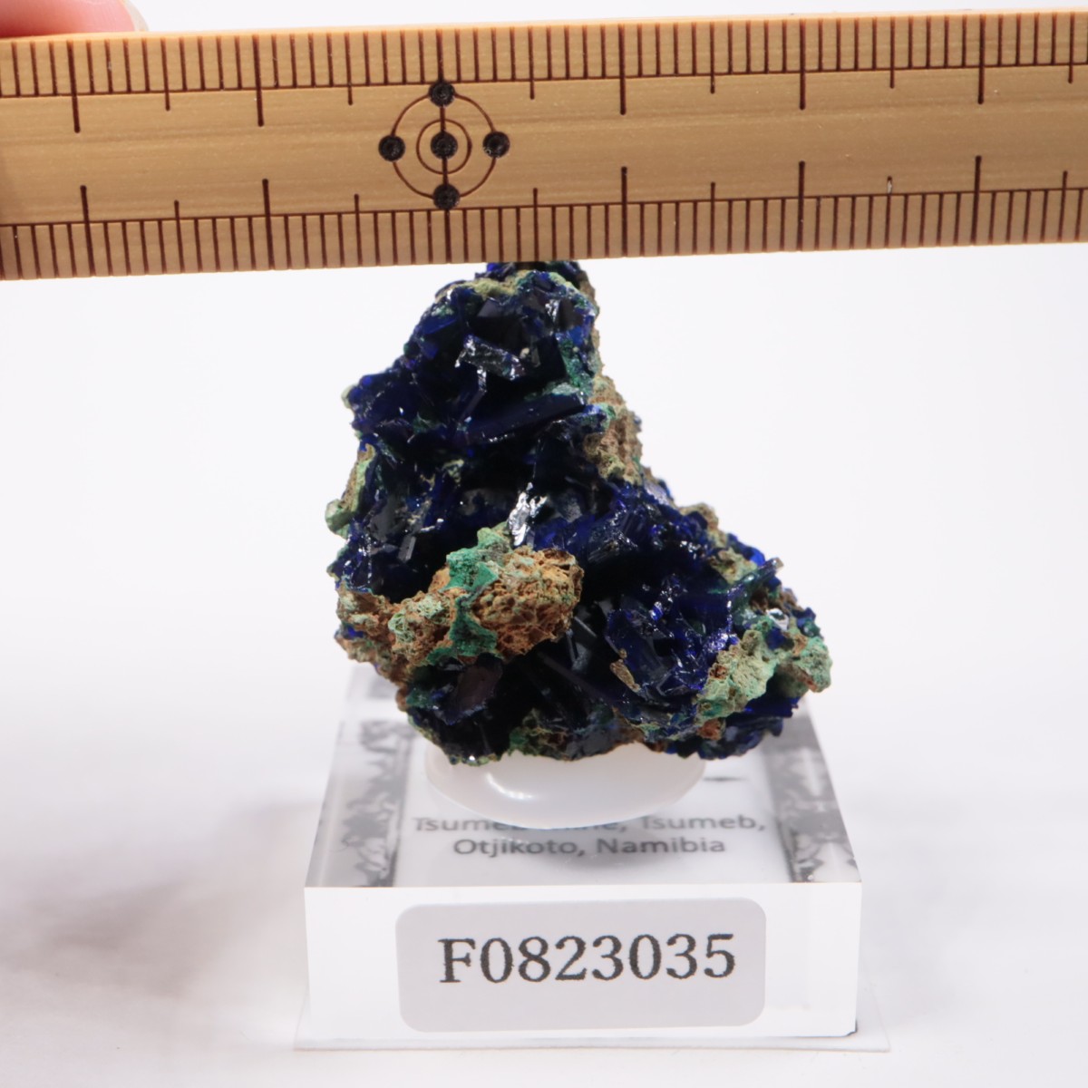 �ĥ�ֹۻ� �����饤�ȡ��ޥ饫����