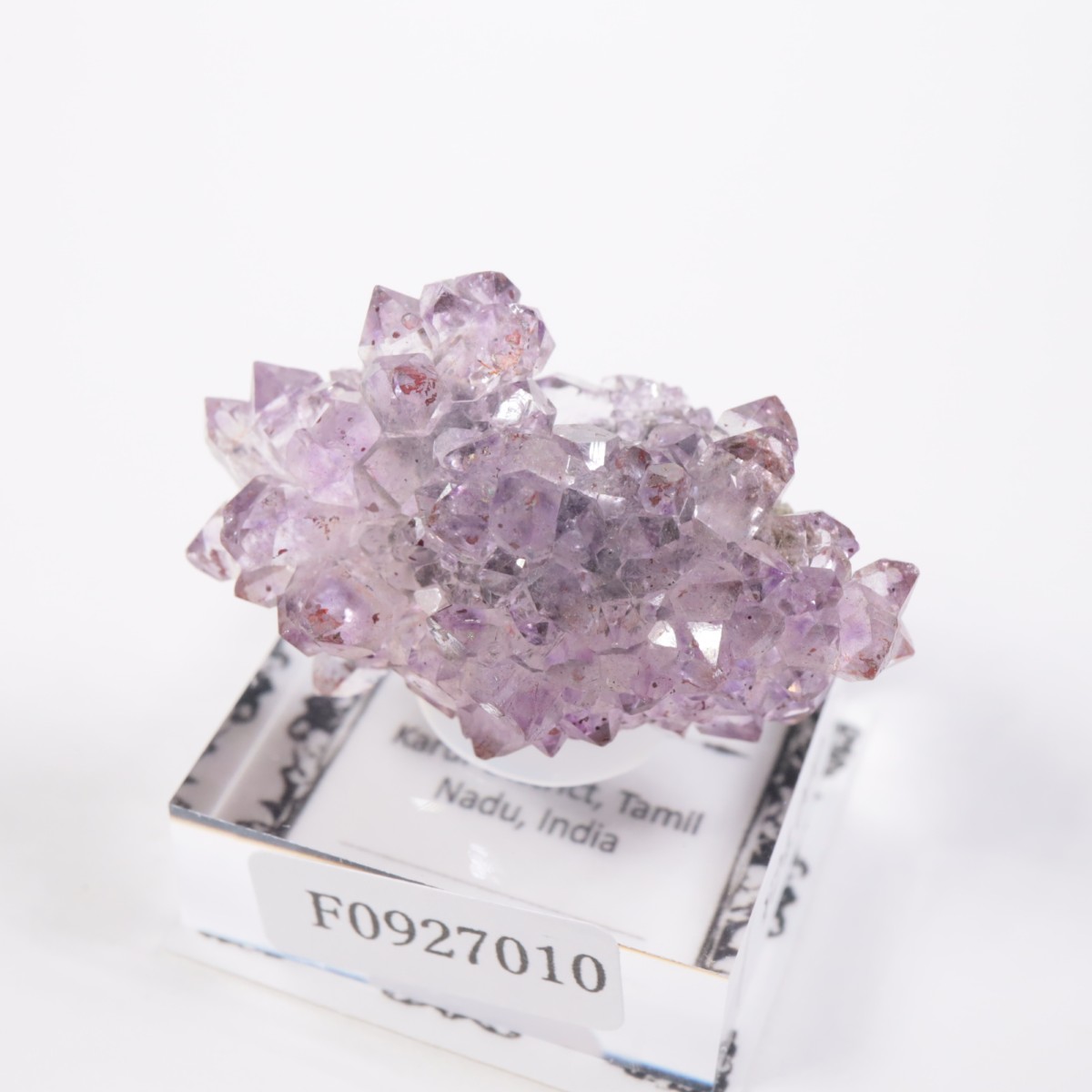 ����ɻ� ���᥷����