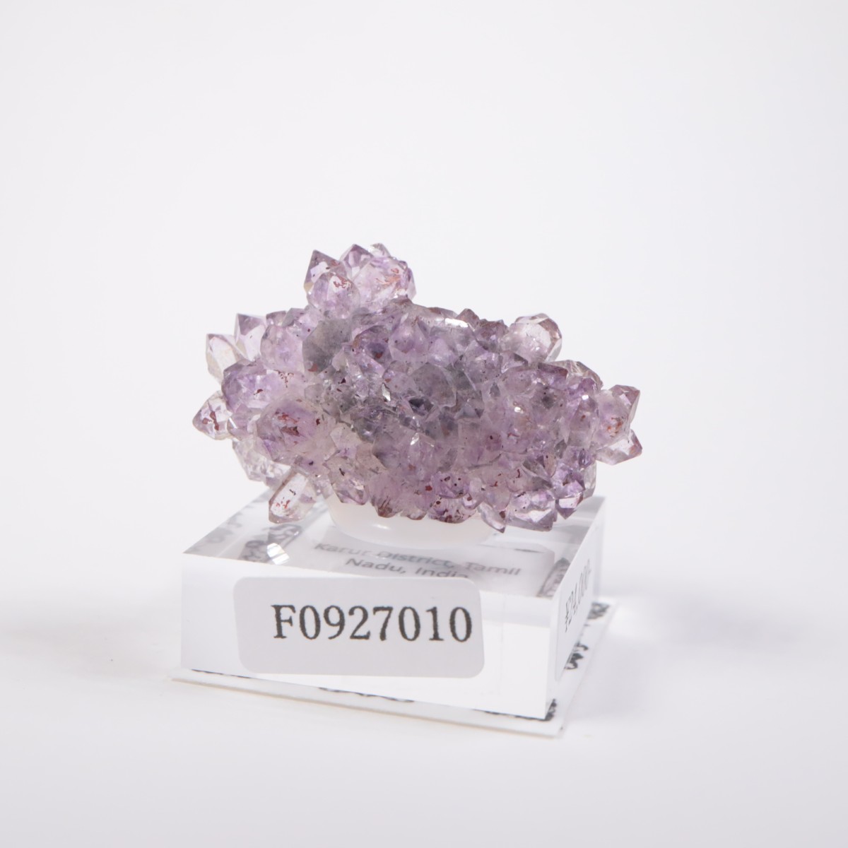 ����ɻ� ���᥷����