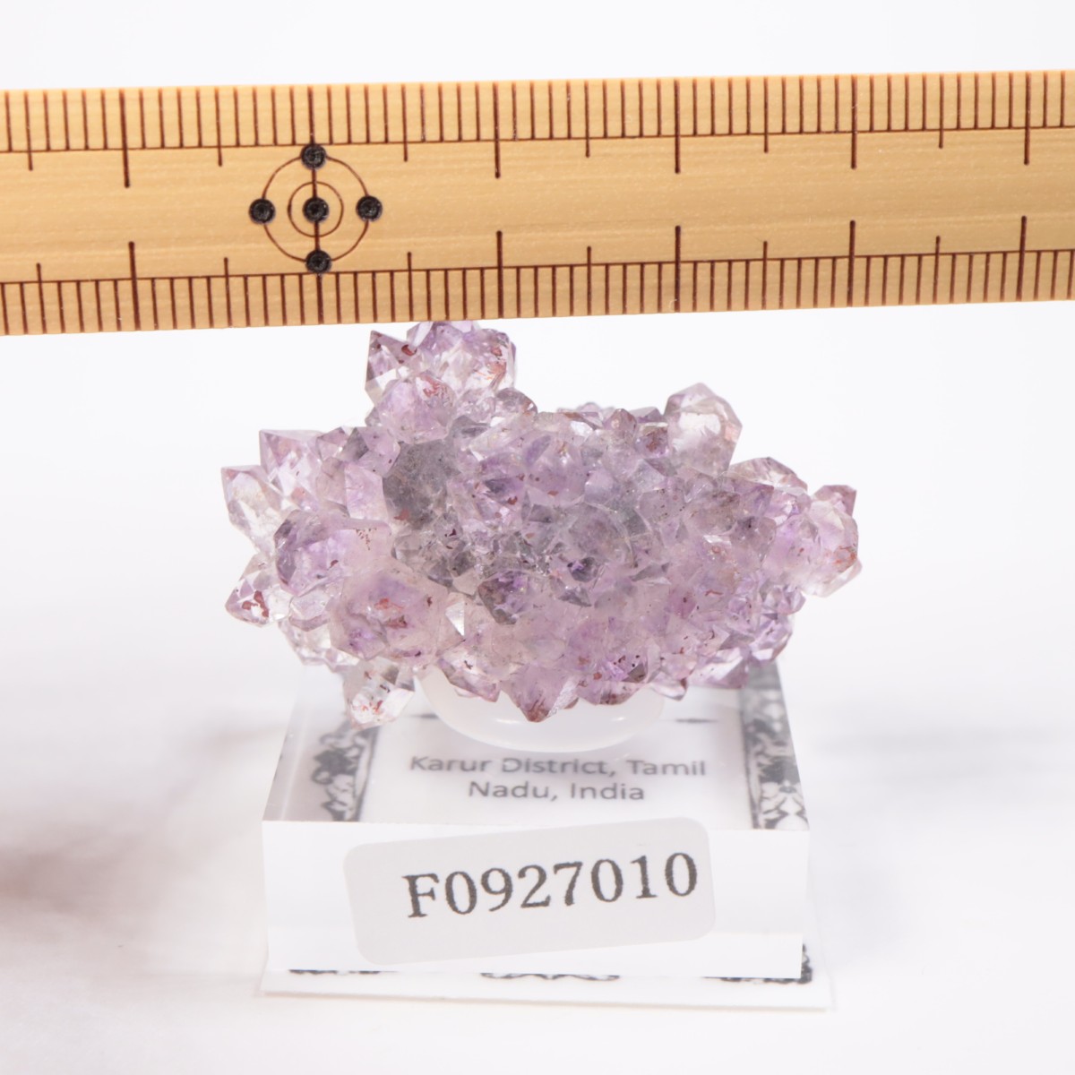 ����ɻ� ���᥷����