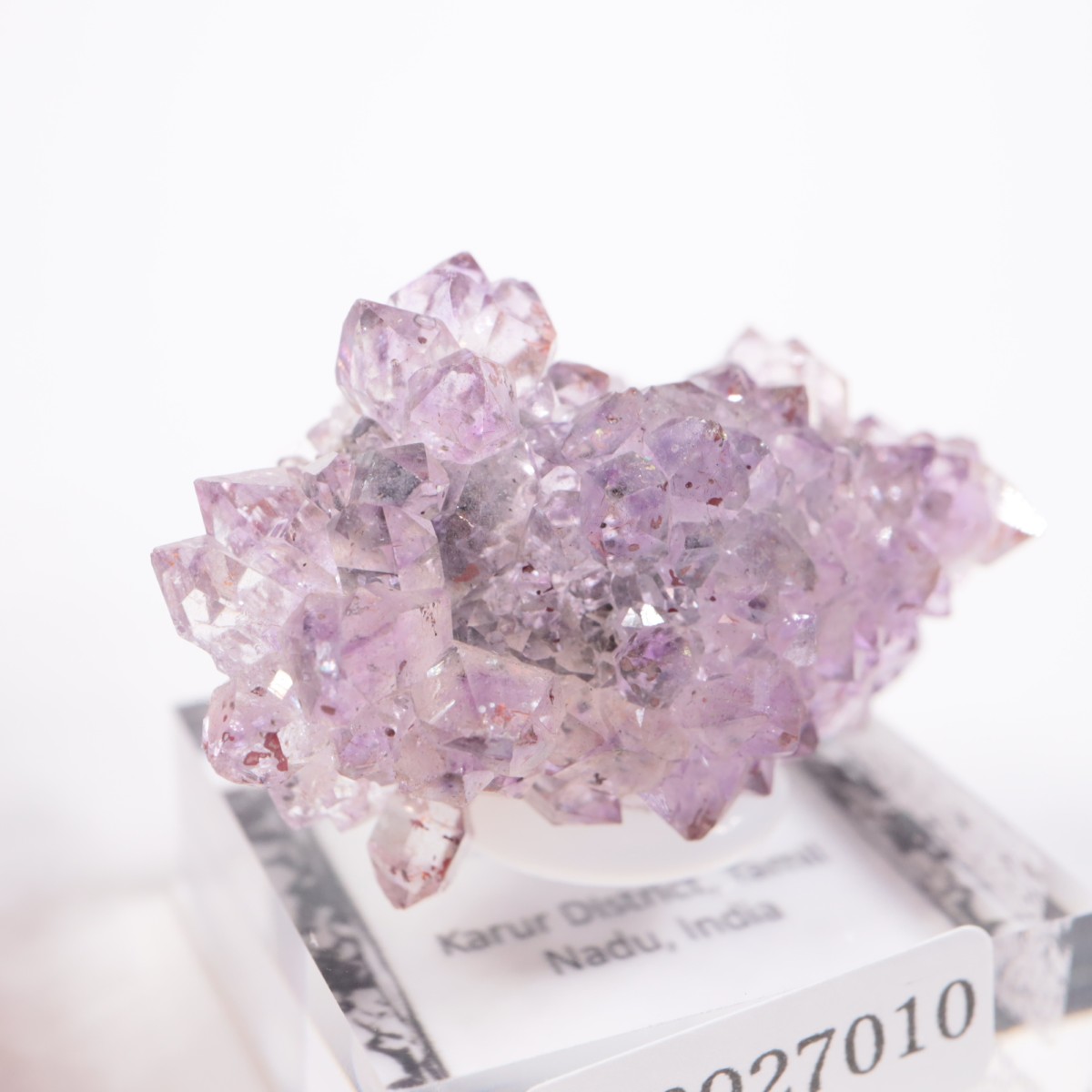 ����ɻ� ���᥷����