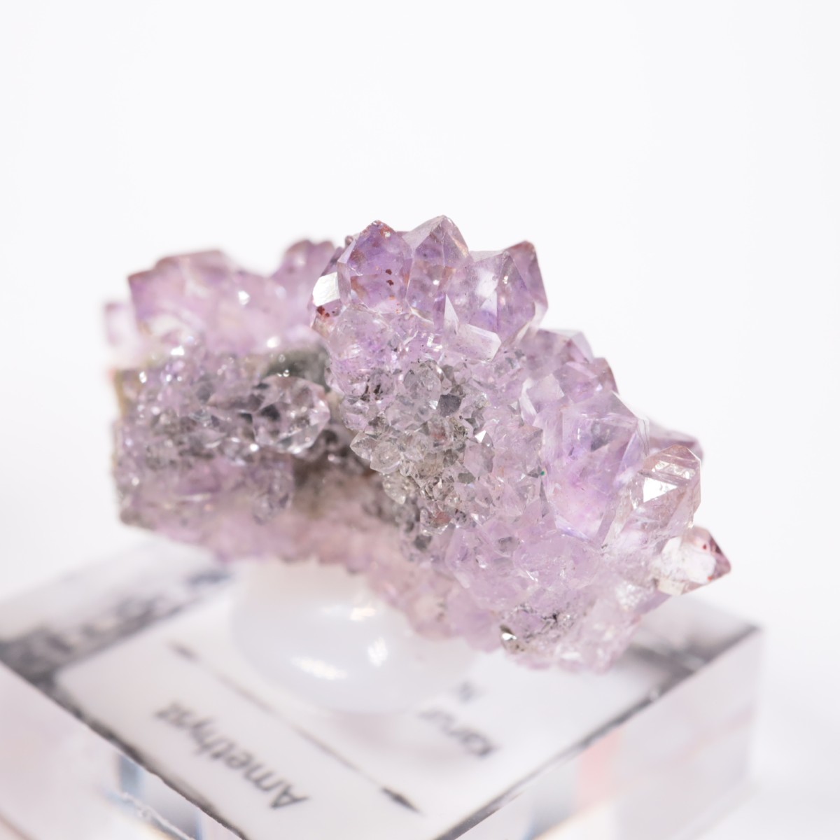 ����ɻ� ���᥷����