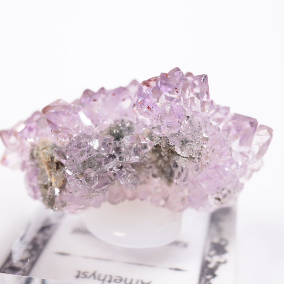 ����ɻ� ���᥷����