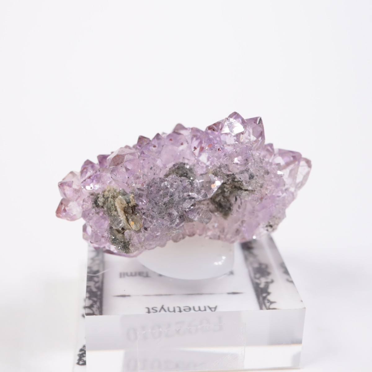 ����ɻ� ���᥷����