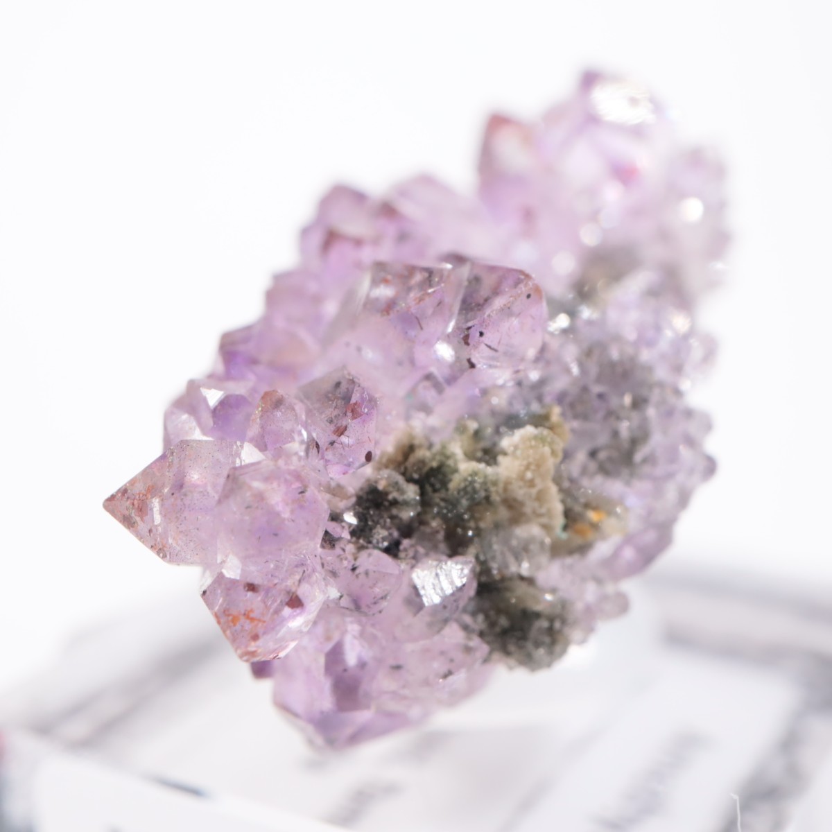 ����ɻ� ���᥷����