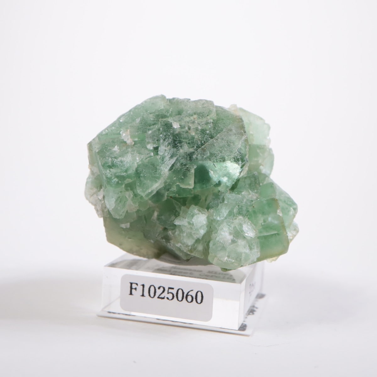 ����ϥޥ�ۻ� �ե����饤��