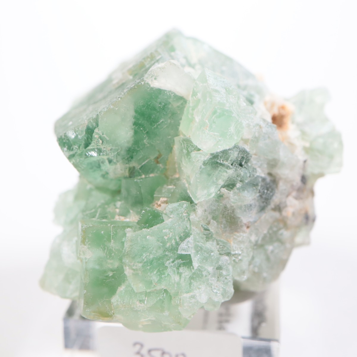 ����ϥޥ�ۻ� �ե����饤��