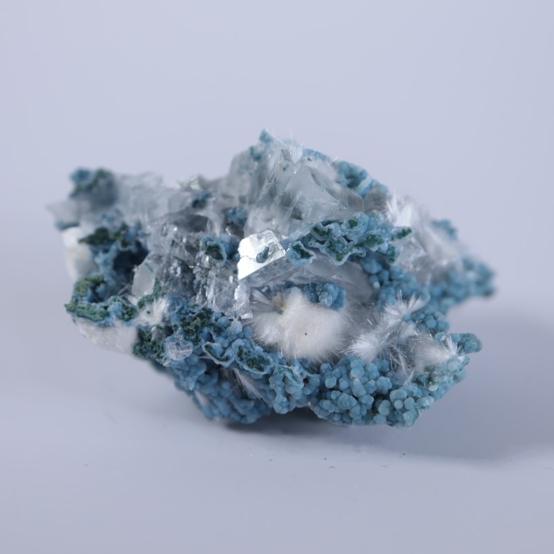 8_000000001737.jpg?1678209904