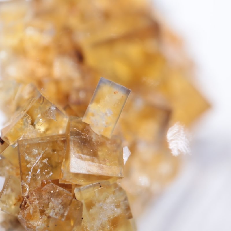 閉山ヒルトン鉱山　フローライト 蛍石　鉱物　鉱物標本 原石 fluorite ヒルトン鉱山 フローライト | 鉱物標本,ハ行,フローライト/蛍石