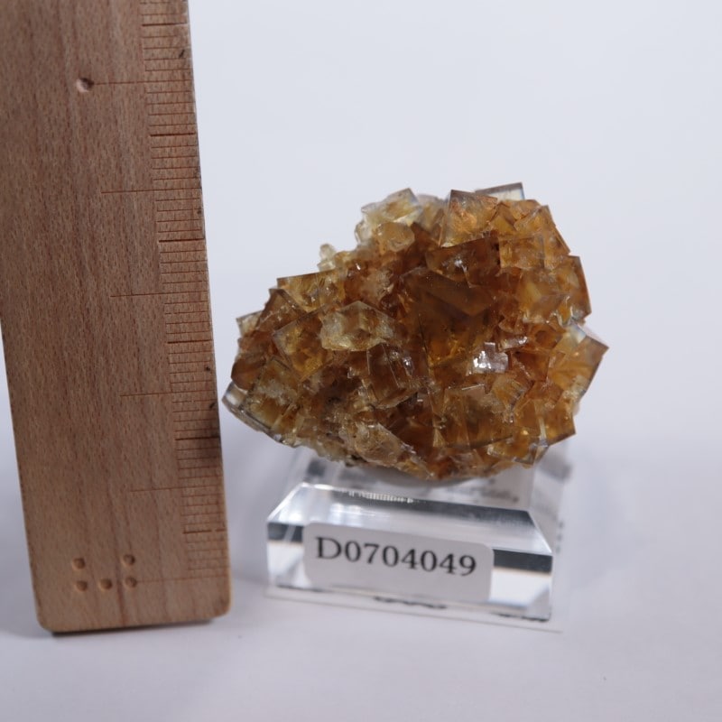 ヒルトン鉱山 フローライト | 鉱物標本,ハ行,フローライト/蛍石,フロー