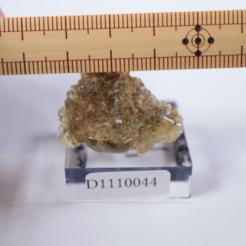 �⥹���ʹۻ����ե����饤��