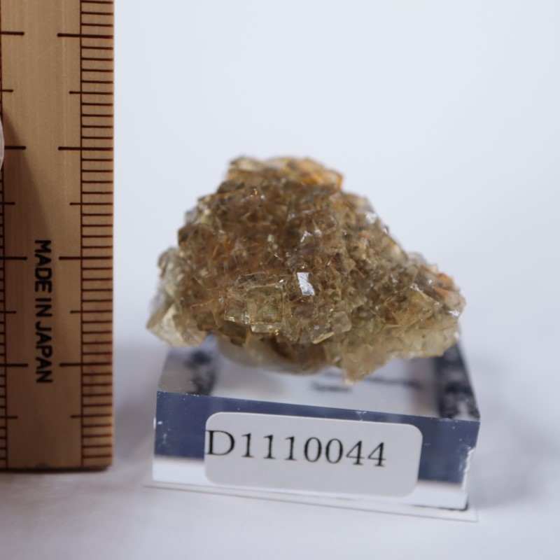 �⥹���ʹۻ����ե����饤��