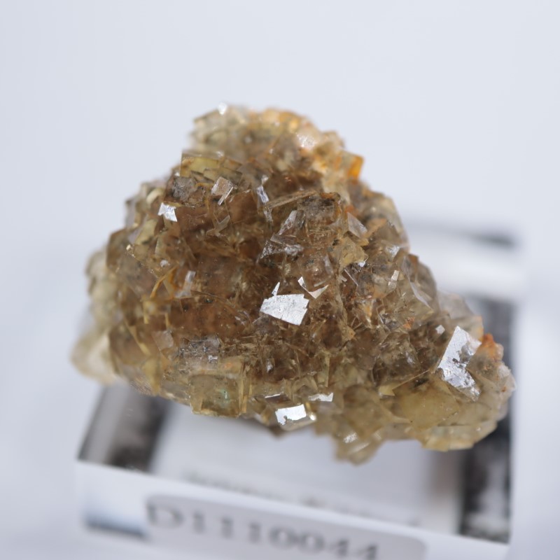 �⥹���ʹۻ����ե����饤��