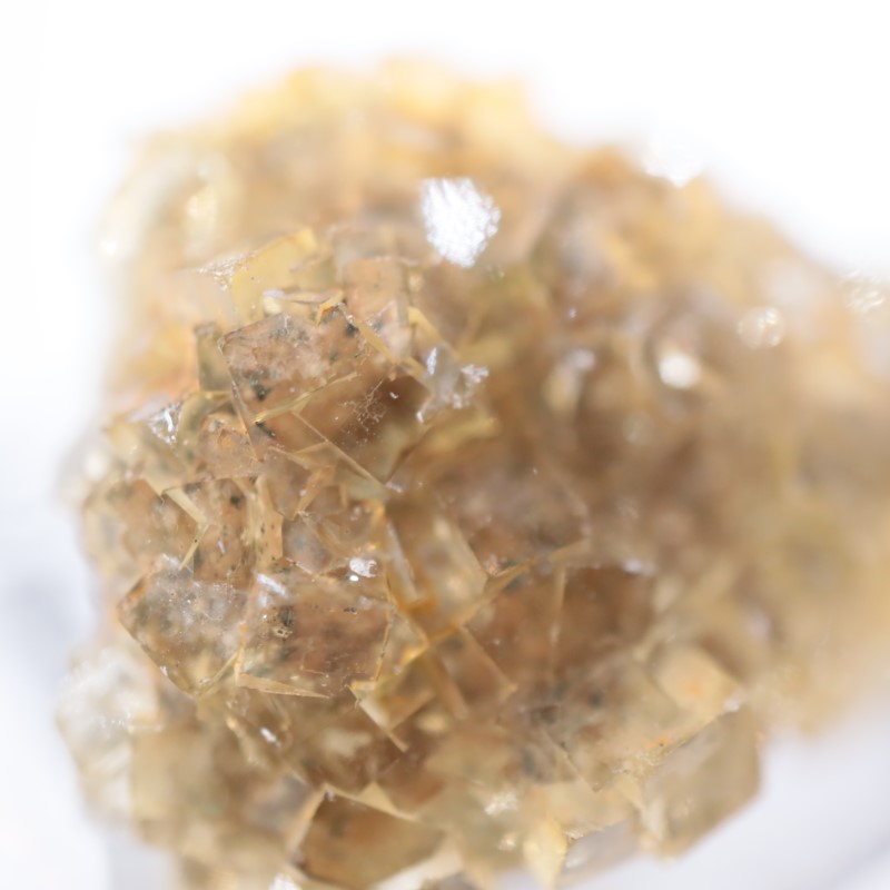 �⥹���ʹۻ����ե����饤��