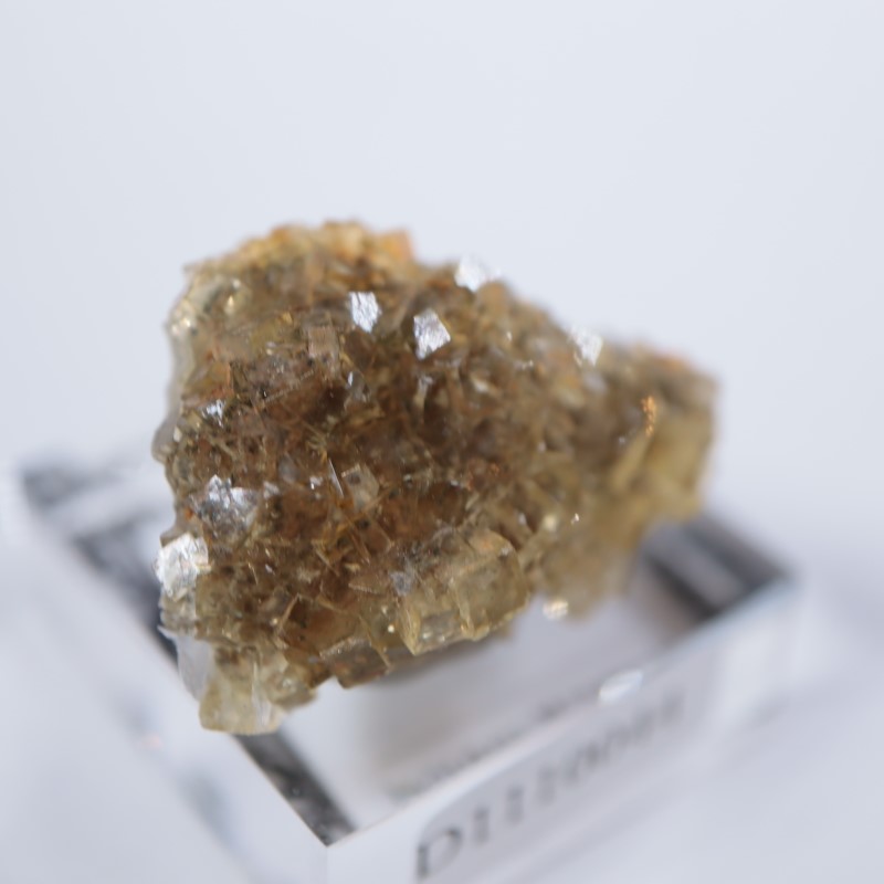 �⥹���ʹۻ����ե����饤��