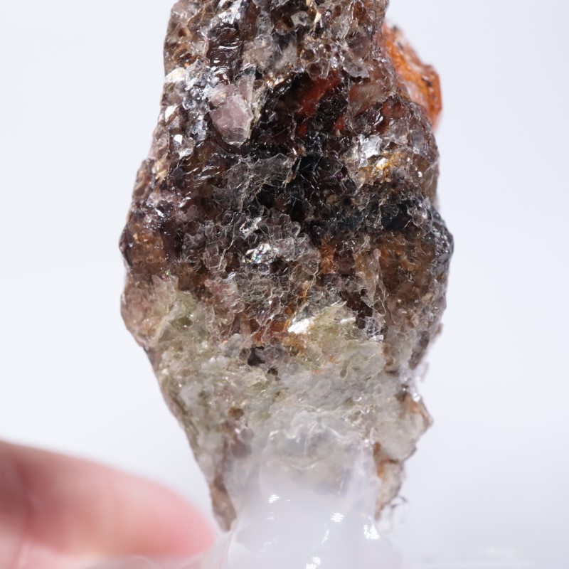 ���󥶥˥��������ڥ���ƥ��󥬡��ͥå�