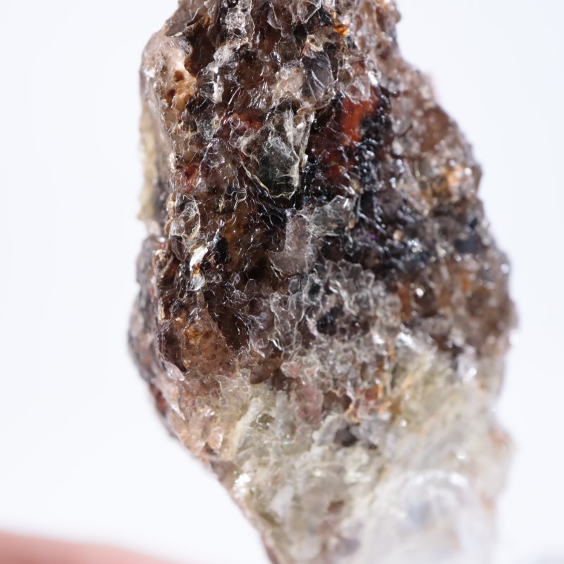 ���󥶥˥��������ڥ���ƥ��󥬡��ͥå�