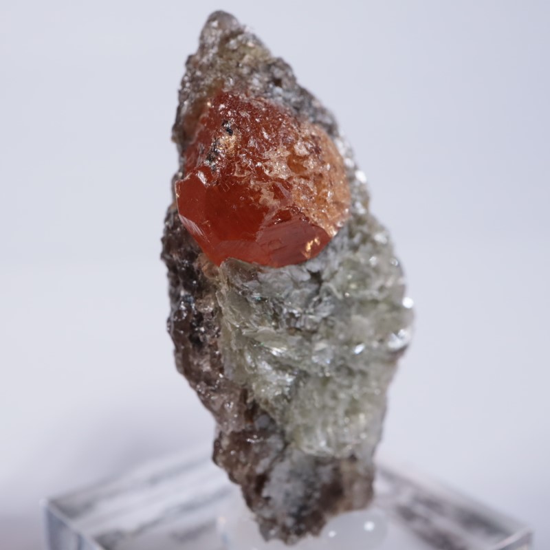 ���󥶥˥��������ڥ���ƥ��󥬡��ͥå�