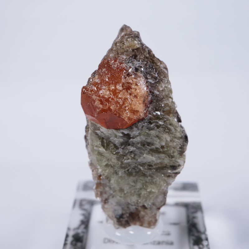 ���󥶥˥��������ڥ���ƥ��󥬡��ͥå�