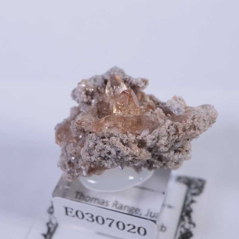 Thomas Range�����ȥѡ���