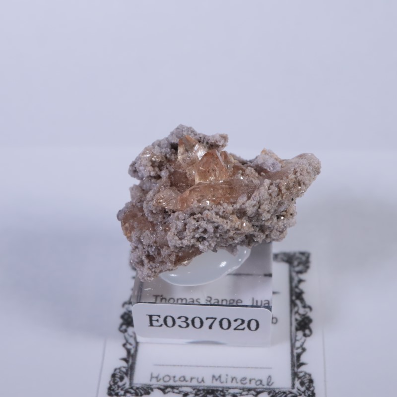 Thomas Range�����ȥѡ���