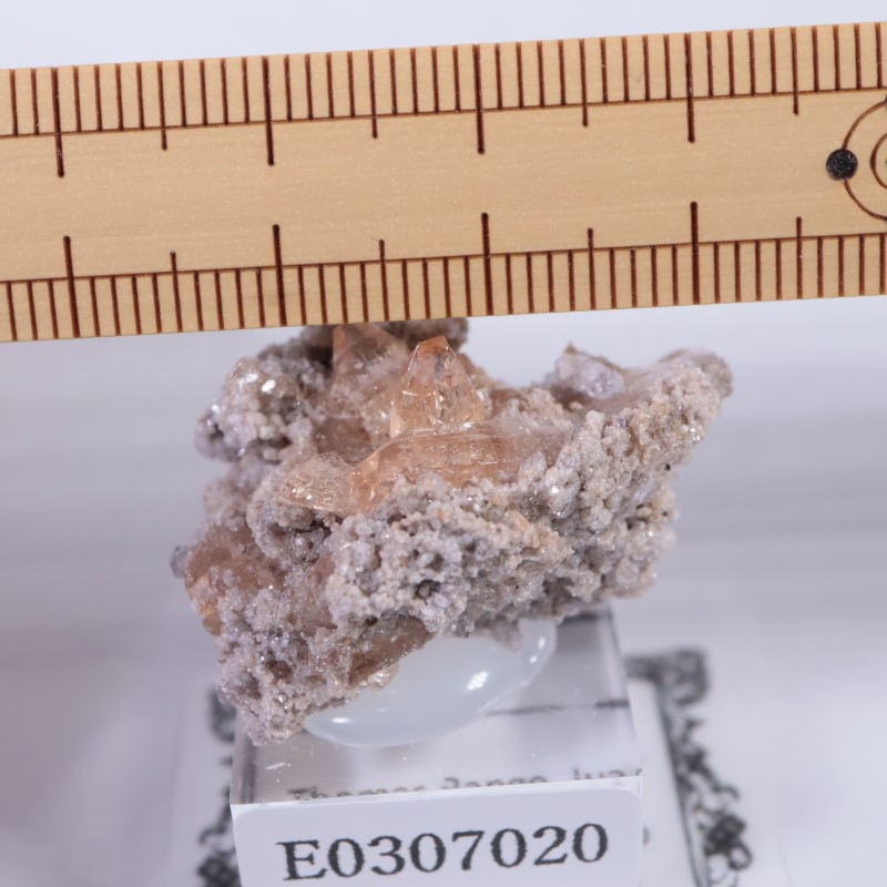 Thomas Range�����ȥѡ���