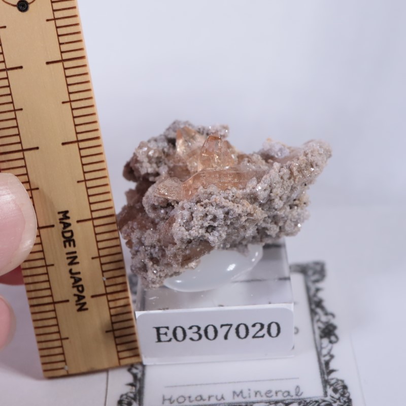 Thomas Range�����ȥѡ���